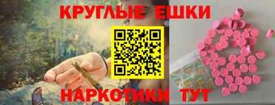 спайс Кингисепп