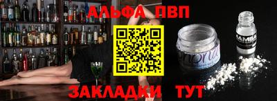 спайс Кингисепп
