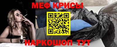 спайс Кингисепп