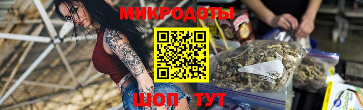 Ярославль  Галлюциногенные грибы прущие грибы  Вход с VPN  Псилоцибиновые грибы мицелий 